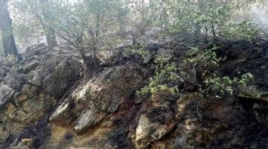 Kazdağları'ndaki 4 Ayrı Noktada Orman Yangını (2)