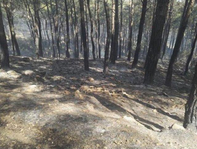 Kazdağları'ndaki 4 Ayrı Noktada Orman Yangını (2)