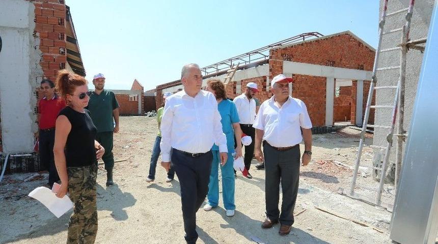 Denizli Büyükşehir’den Sokak Hayvanlarına Dev Tesis