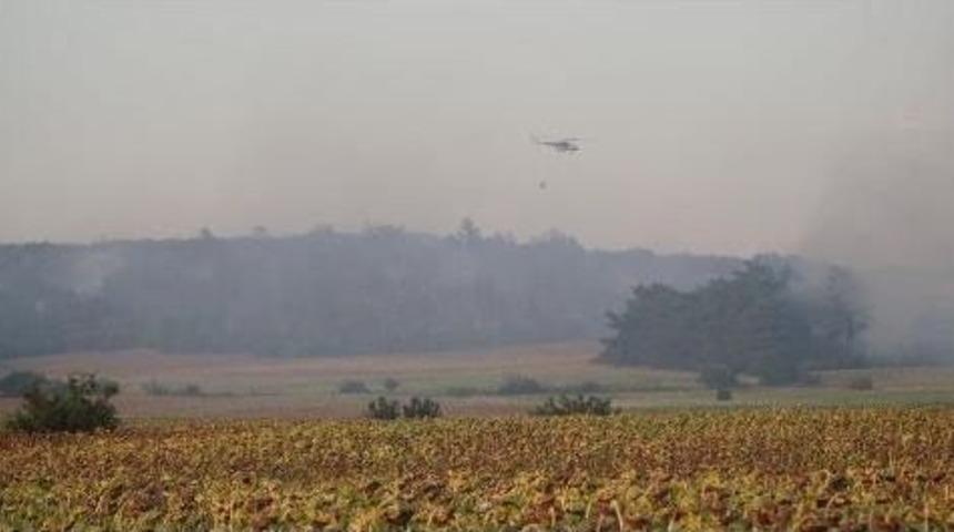 Keşan&rsquo;Da &Ccedil;ıkan Orman Yangını Kontrol Altına Alındı