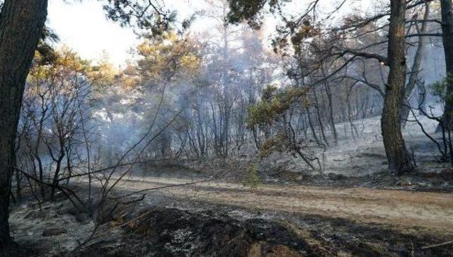 Keşan’Da Çıkan Orman Yangını Kontrol Altına Alındı