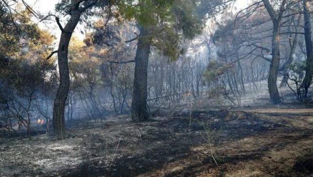 Keşan’Da Çıkan Orman Yangını Kontrol Altına Alındı