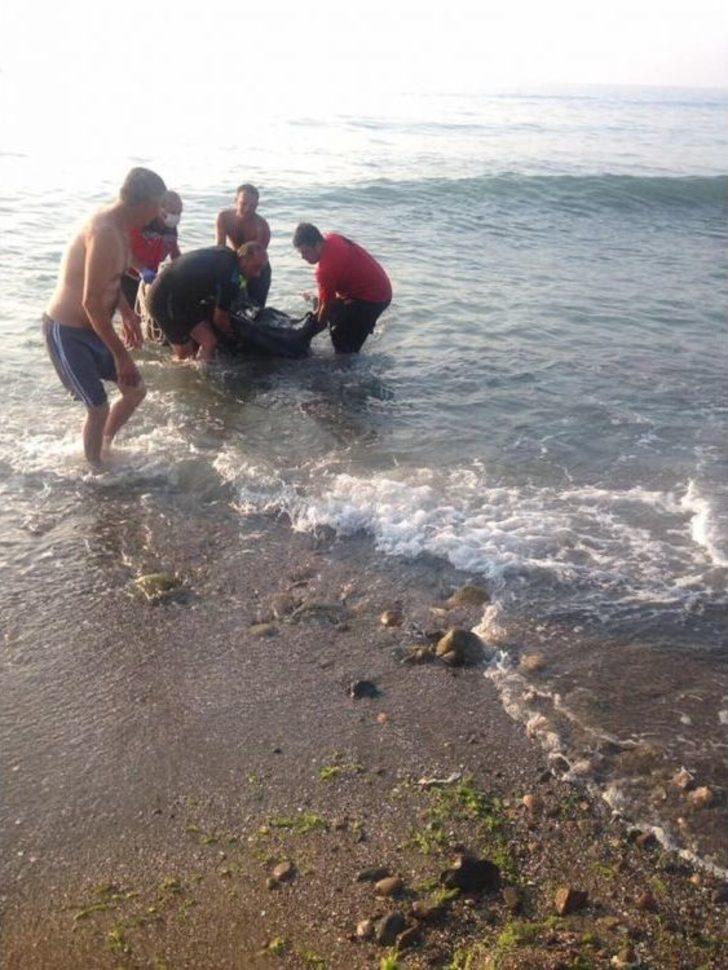 Giresun’da Balık Tutarken Denize Düşerek Kaybolan Kişinin Cesedine Ulaşıldı. G1