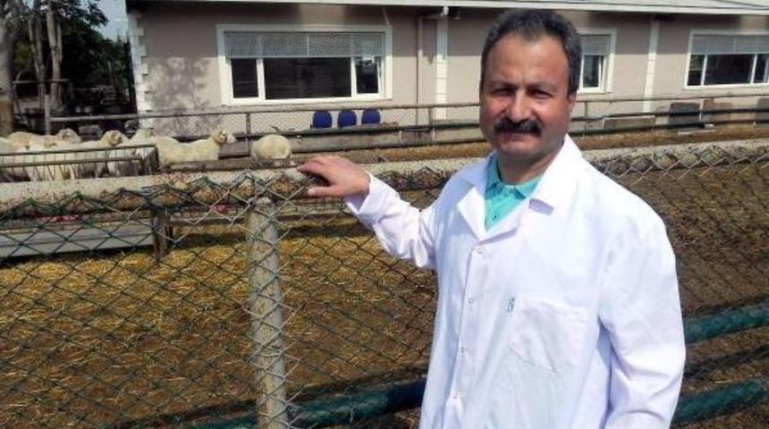 Prof. Dr. &Ouml;mer &Ccedil;etin: Hayvancılık Konusunda Milli Politikalar Geliştirilmeli