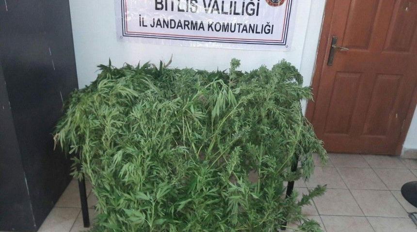 Tatvan&rsquo;da Uyuşturucu Operasyonu