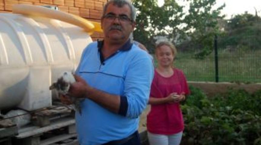 Su Borusuna Sıkışan Yavru Kediyi İtfaiye Kurtardı