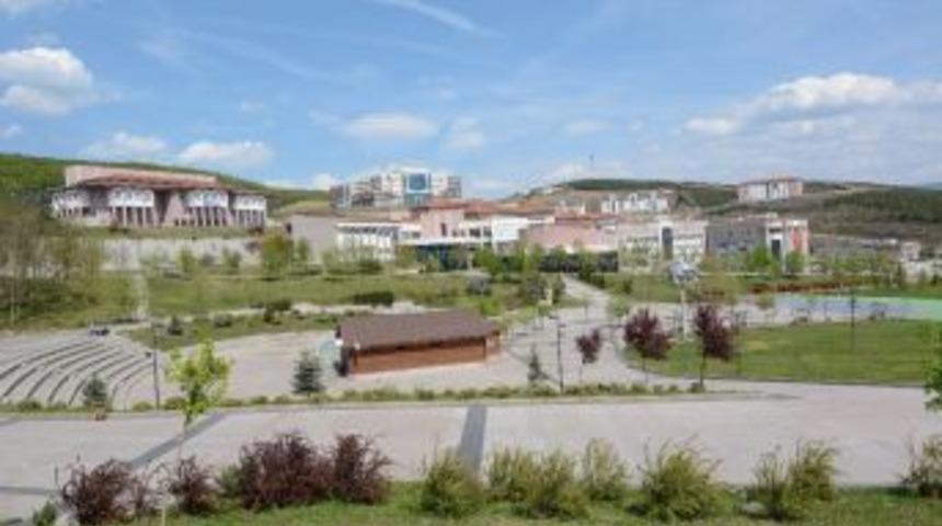 D&uuml;zce&rsquo;de Tarımsal Atıklardan Kimyasal Ve Kompozit Madde Elde Edilecek