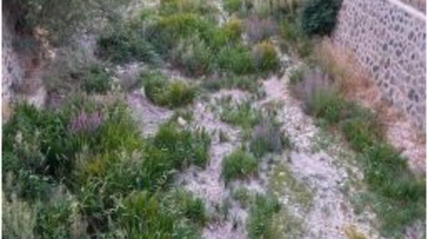 Aşırı Sıcaklar Tohma &Ccedil;ayı&rsquo;nı Kuruttu