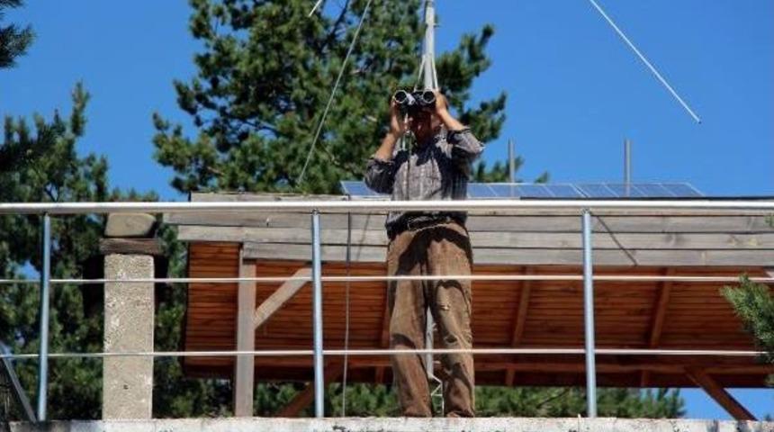 25 Yıldır Aynı Kulede Ormanı Koruyor