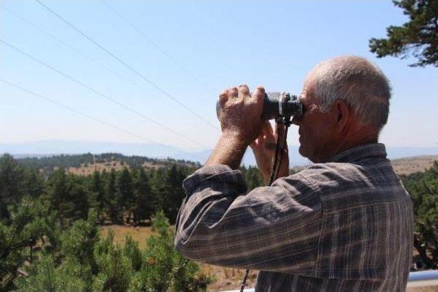 25 Yıldır Aynı Kulede Ormanı Koruyor