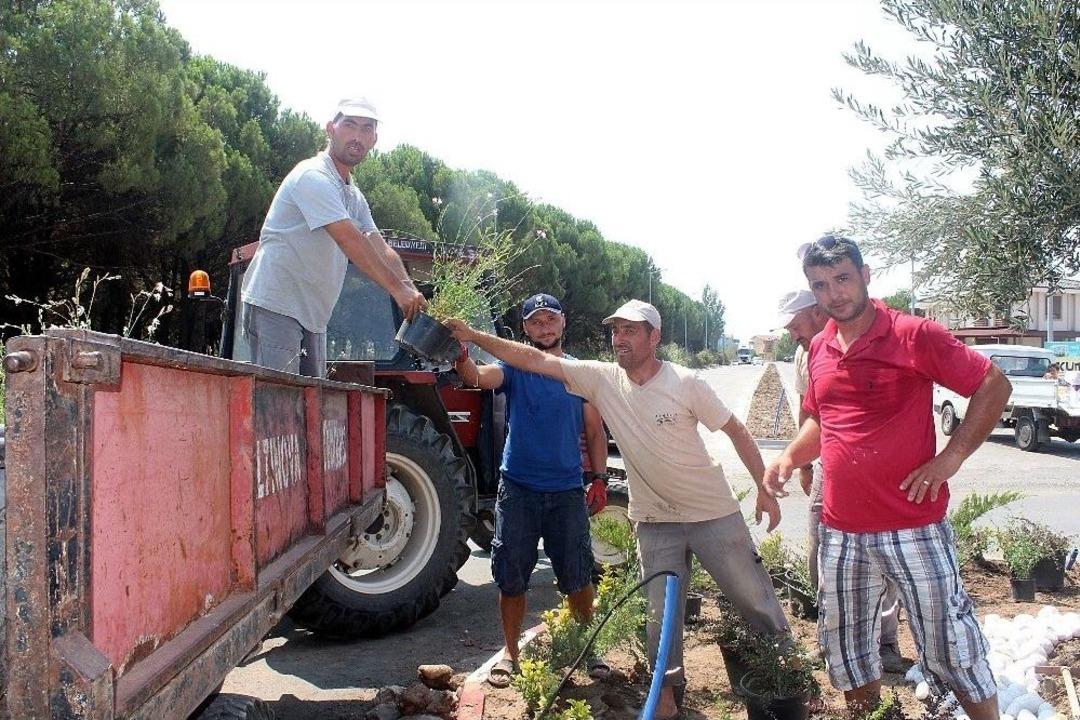 Başkan Gen&ccedil;er Altınova Sahil Yolundaki Kavşağın Işıklandırılmasının Talimatını Verdi