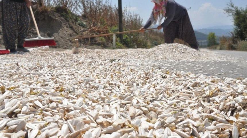 Ay &Ccedil;ekirdeğini R&uuml;zgar Vurdu