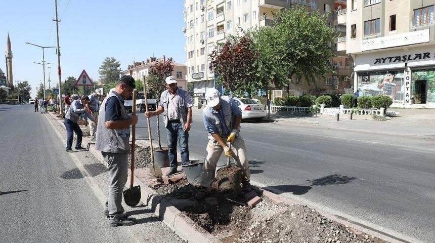 B&uuml;y&uuml;kşehir Belediyesi Yeşil Bir Kent İ&ccedil;in &Ccedil;alışıyor