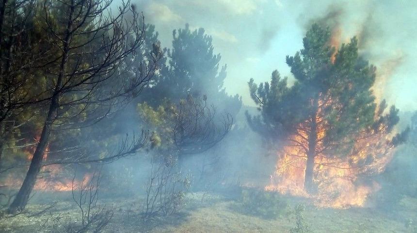 Kastamonu&rsquo;da Ormanlık Alanda Yangın