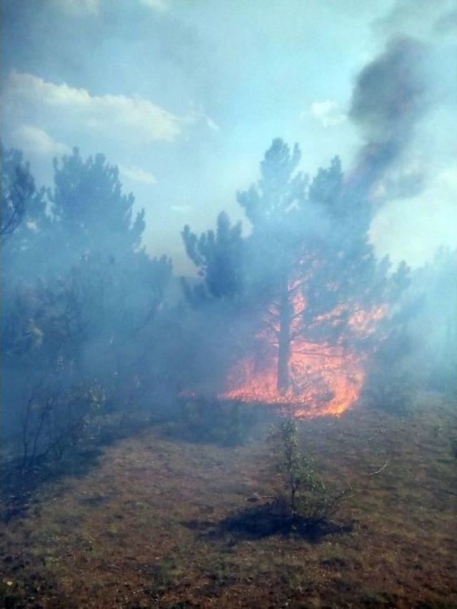 Kastamonu’da Ormanlık Alanda Yangın