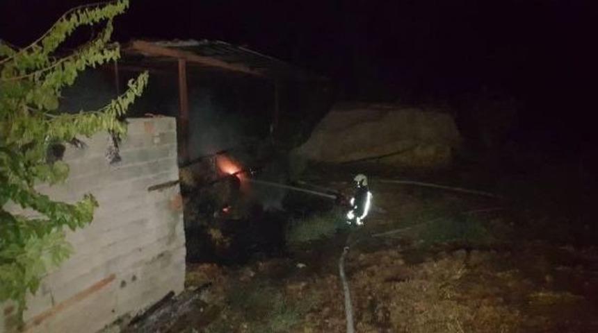 Besihanede &Ccedil;ıkan Yangında Hayvanlar Telef Oldu