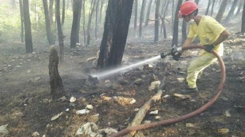 Kazdağları'ndaki Ormanı Yangının Kundak&ccedil;ısı Yakalandı