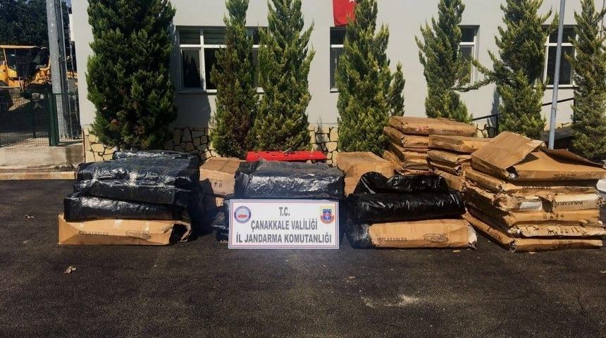 Umut Tacirlerine Ağır Darbe