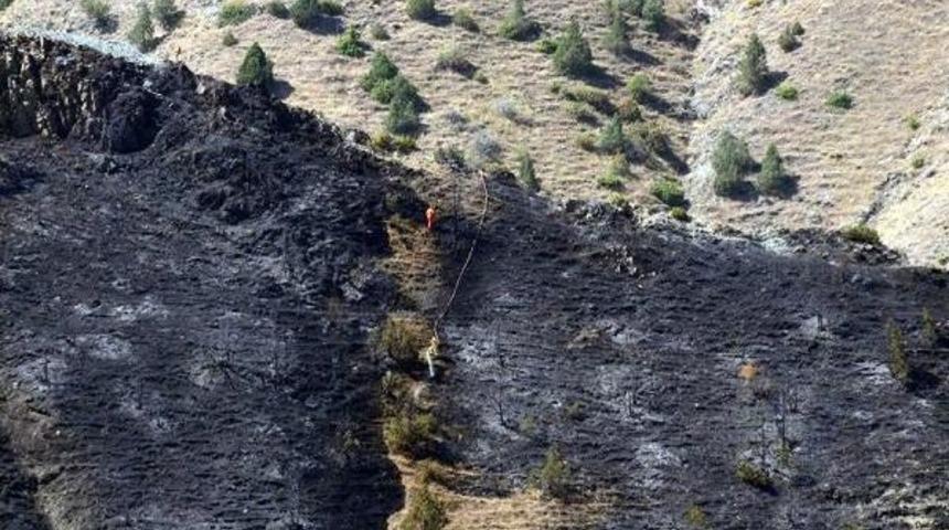 Yangın Oltu'nun Dağlarını Kararttı
