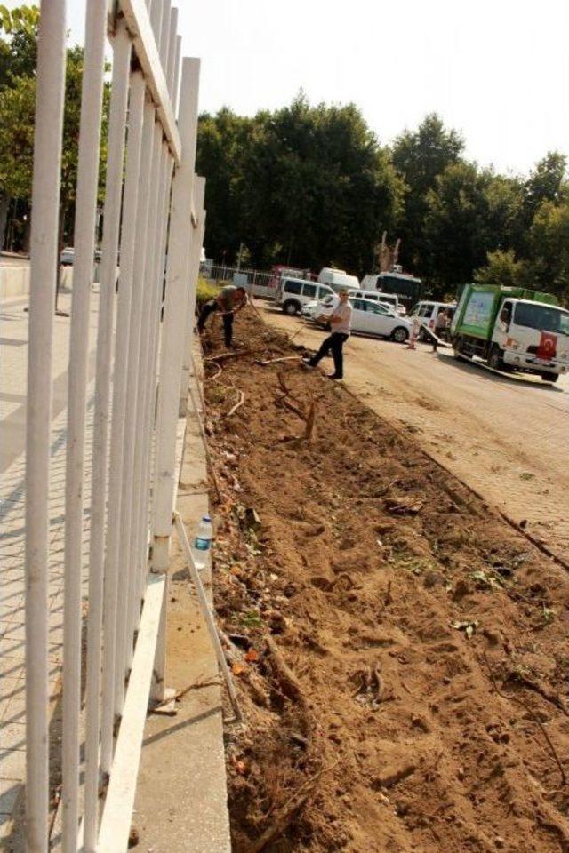 Yalova Valiliği Örnek Oldu