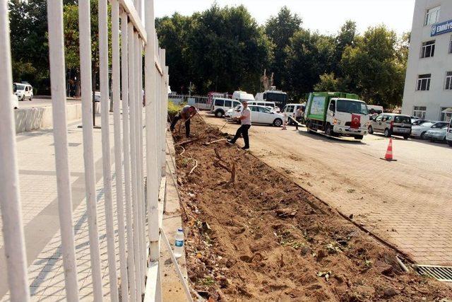 Yalova Valiliği Örnek Oldu