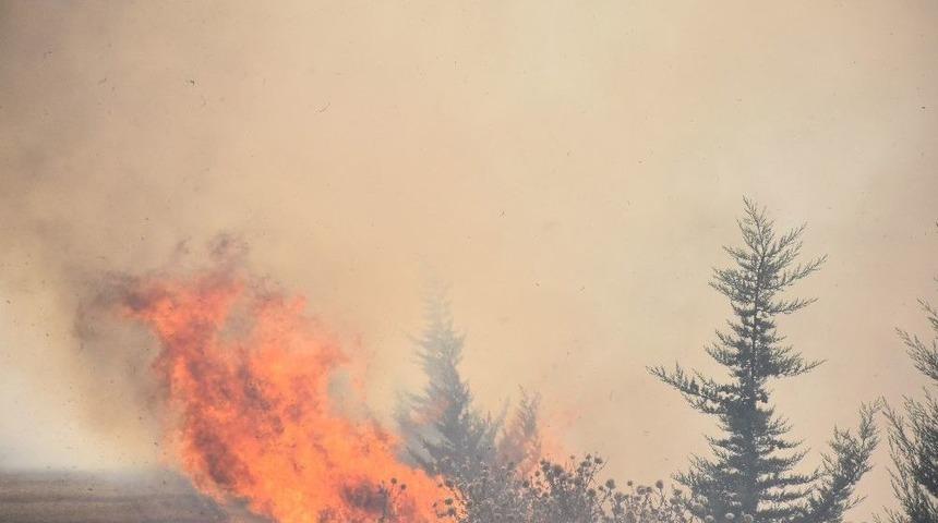 Kahta İl&ccedil;esinde 7 Hektarlık Alan Yandı