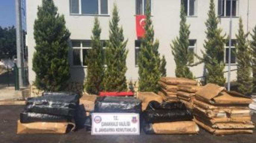&Ccedil;anakkale Ve Balıkesir'de G&ouml;&ccedil;men Ka&ccedil;ak&ccedil;ılığına 15 G&ouml;zaltı