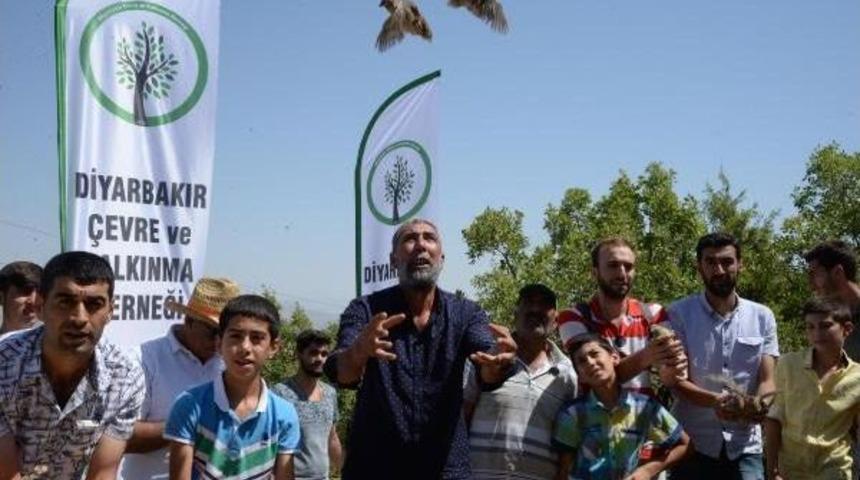 Ter&ouml;r Operasyonlarının S&uuml;rd&uuml;ğ&uuml; Lice Dağlarına Bıldırcın Bıraktılar