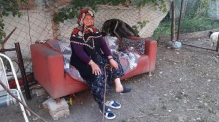 Bacağını Yılan Isıran Kadın, Yoğun Bakım &Uuml;nitesinde Tedavi G&ouml;rd&uuml;