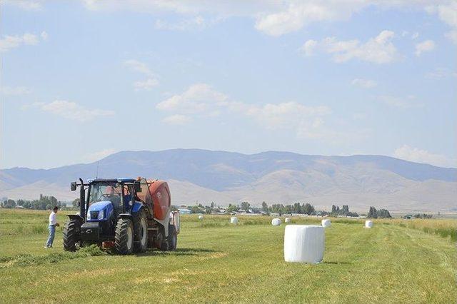 Rulo Balya Silajı İçin Aziziye’de ‘tarla Günü’ Düzenlendi