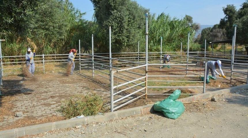 Kurban Bayramı &Ouml;ncesi S&ouml;ke&rsquo;de Hayvan Pazarı Temizlendi