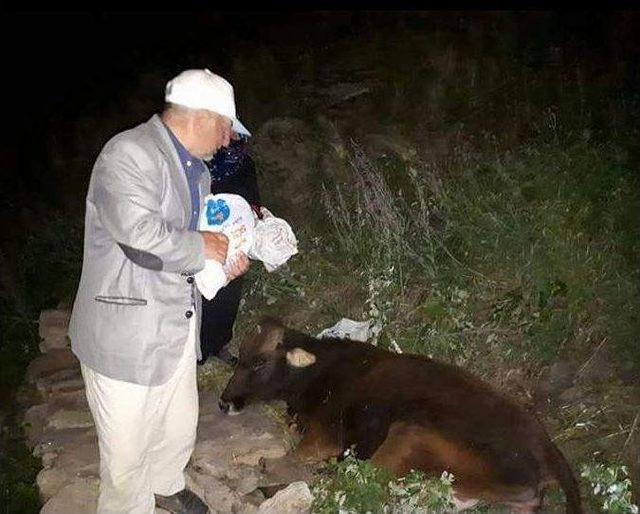 Yaşlı Kadın, Uçuruma Düşen İneğinin Kurtarılmasını Battaniyeye Sarılarak Bekledi