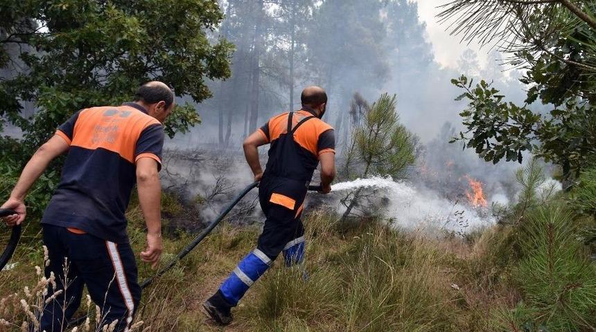 Orman Yangınına İlk M&uuml;dahaleyi Pendik Belediyesi Yaptı