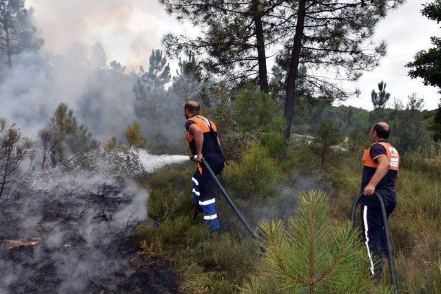 Orman Yangınına İlk Müdahaleyi Pendik Belediyesi Yaptı