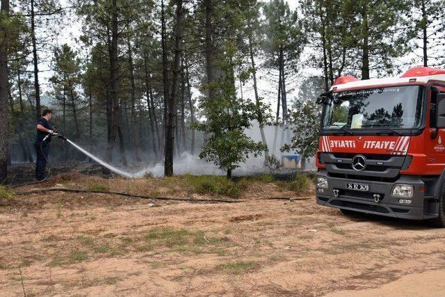 Orman Yangınına İlk Müdahaleyi Pendik Belediyesi Yaptı