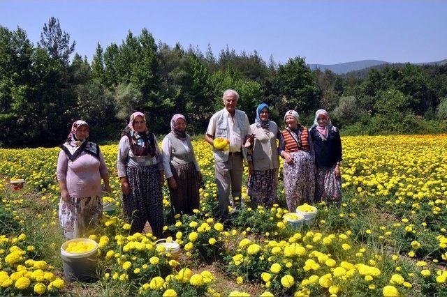 Ediz Hun Orhaneli’ne Hayran Kaldı