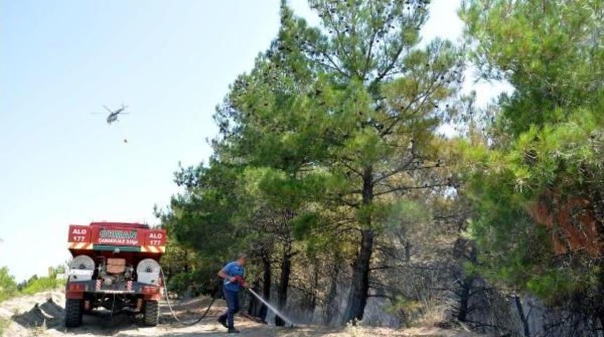 Tekirdağ'da 50 D&ouml;n&uuml;m Orman Yandı