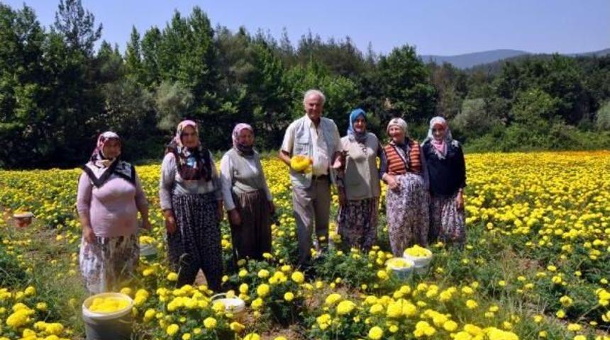 Sanat&ccedil;ı Ediz Hun Orhaneli&rsquo;Ye Hayran Kaldı