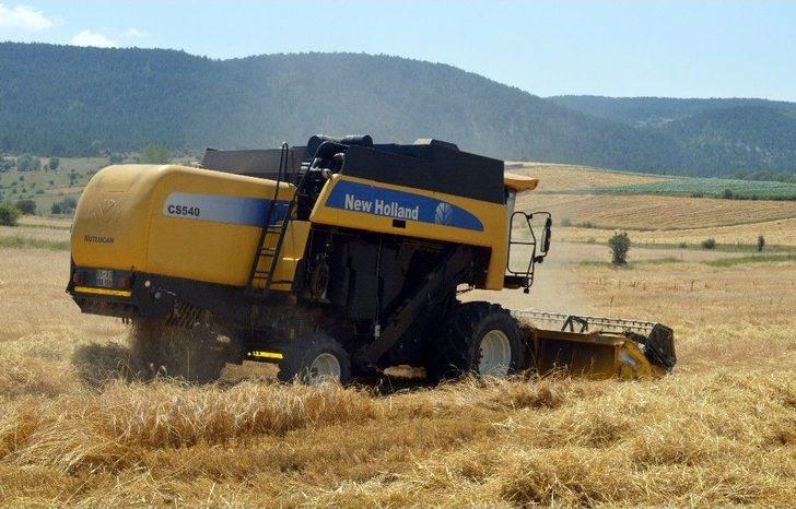 Buğdayın Atası ‘siyez’in Hasadı Devam Ediyor G3