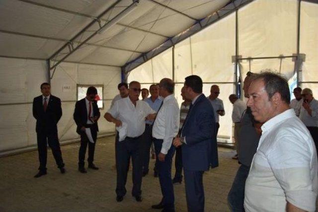 Chp'nin Adalet Kurultayı, Kocadere Kamp Alanı'nda Olacak