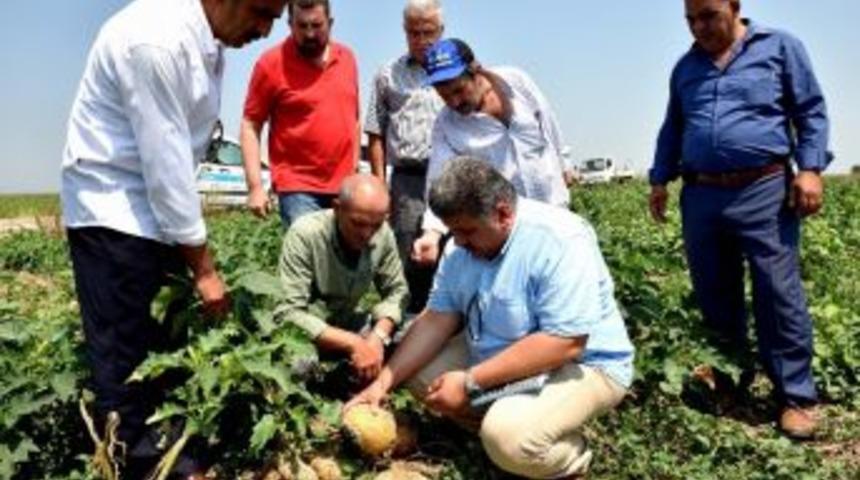 Tarım Komisyonu&rsquo;ndan &rsquo;dolu&rsquo; Seferberliği