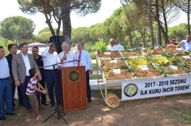 Nazilli'de Sezonun Ilk Kuru Inciri 200 Tl'den Satıldı