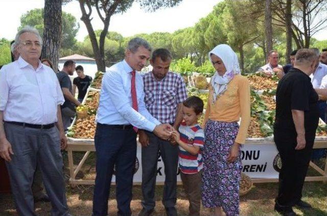 Nazilli'de Sezonun Ilk Kuru Inciri 200 Tl'den Satıldı