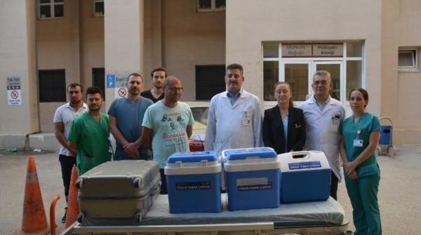 84 Yaşındaki Kadının B&ouml;brekleri Umut Oldu