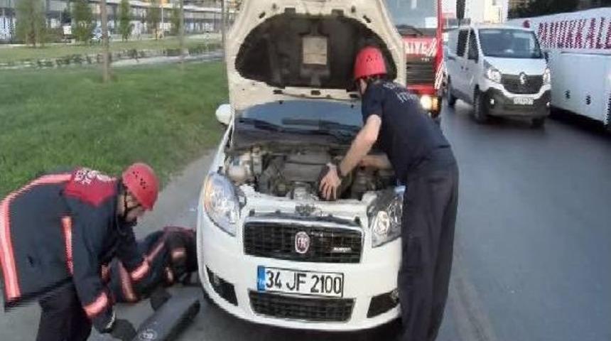 Otomobilin Motor Kısmına Sıkışan Yavru Kediyi Itfaiye Ekipleri Kurtardı
