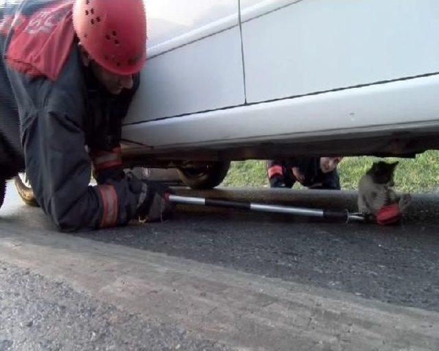 Otomobilin Motor Kısmına Sıkışan Yavru Kediyi Itfaiye Ekipleri Kurtardı