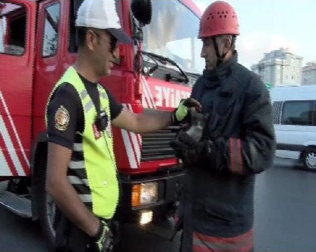 Otomobilin Motor Kısmına Sıkışan Yavru Kediyi Itfaiye Ekipleri Kurtardı