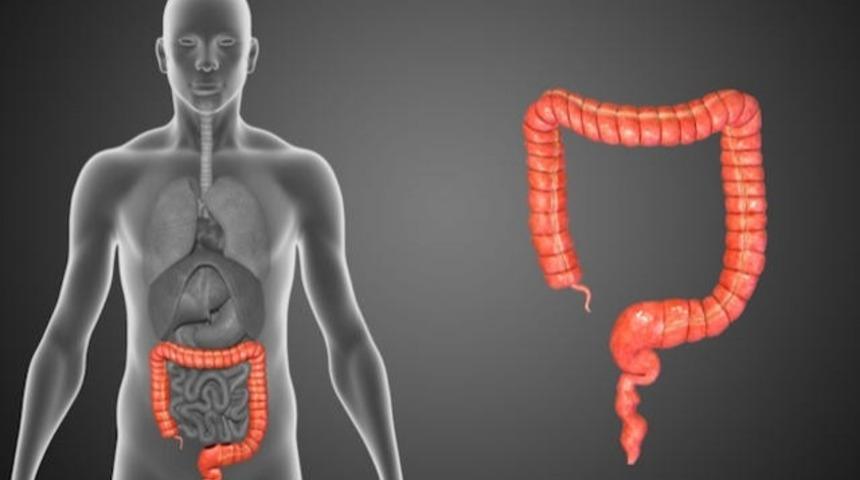 Apandisit Eskiden Ne İşe Yarıyordu?