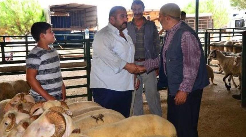 Besicilerden Ithalat Ve Yem Fiyatı Tepkisi