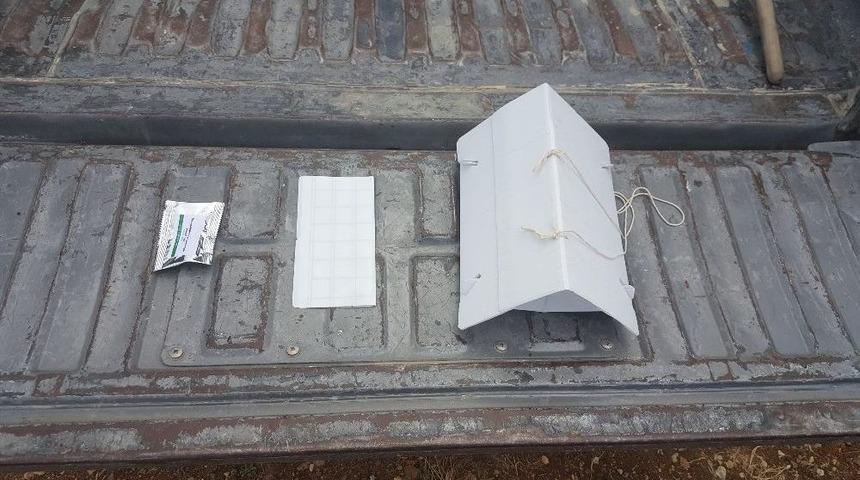 Manisa Ormanlarında Biyolojik M&uuml;cadele